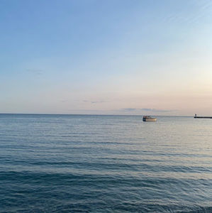 Meet your Posher, Violet